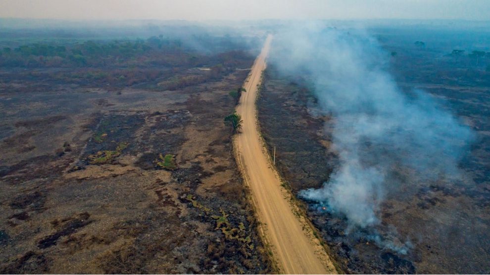 Seca No Pantanal Pode Ser A Pior Crise H Drica Em D Cadas Voz