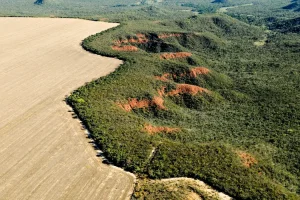 Adriano Gambarini\WWF Brasil