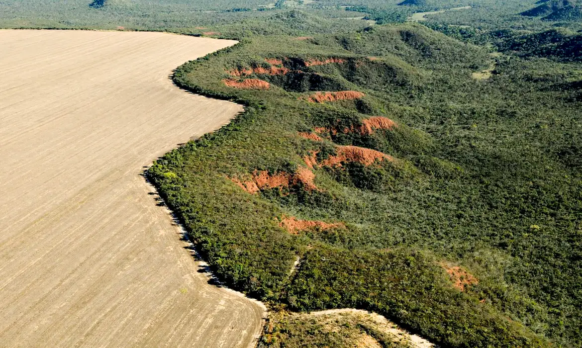 Adriano Gambarini\WWF Brasil